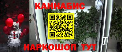 mdpv Лесосибирск